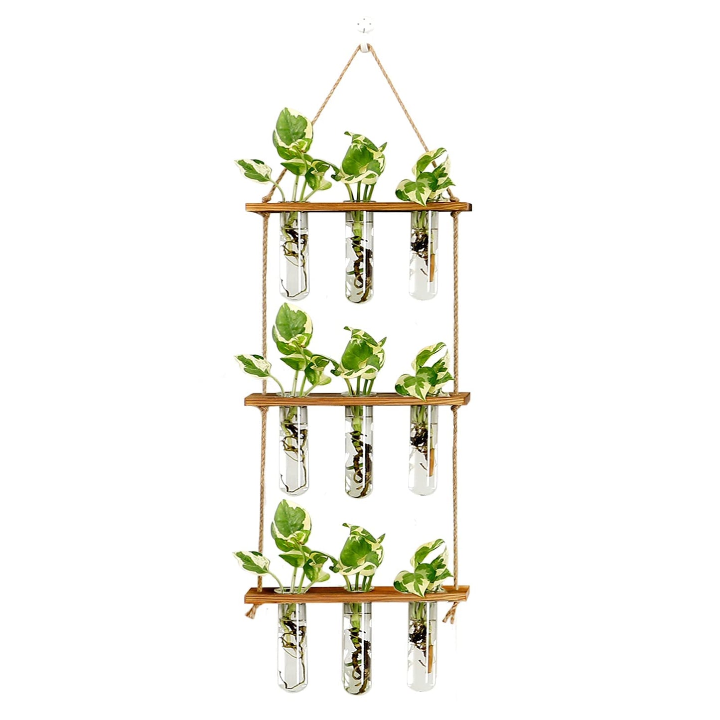 Wall Hanging Propagation Station with Wooden Stand 5 Glass Test Tubes 3 Tiered Planters Wall Terrarium