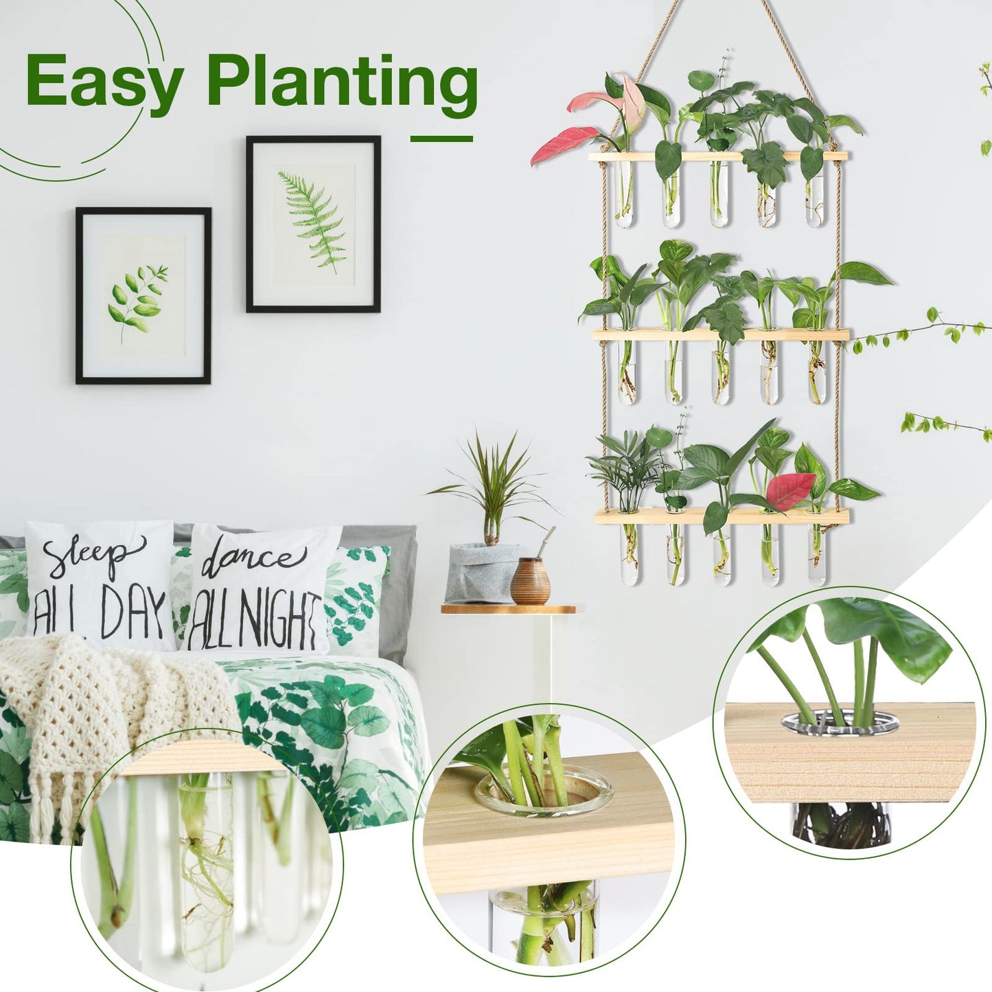 Wall Hanging Propagation Station with Wooden Stand 5 Glass Test Tubes 3 Tiered Planters Wall Terrarium