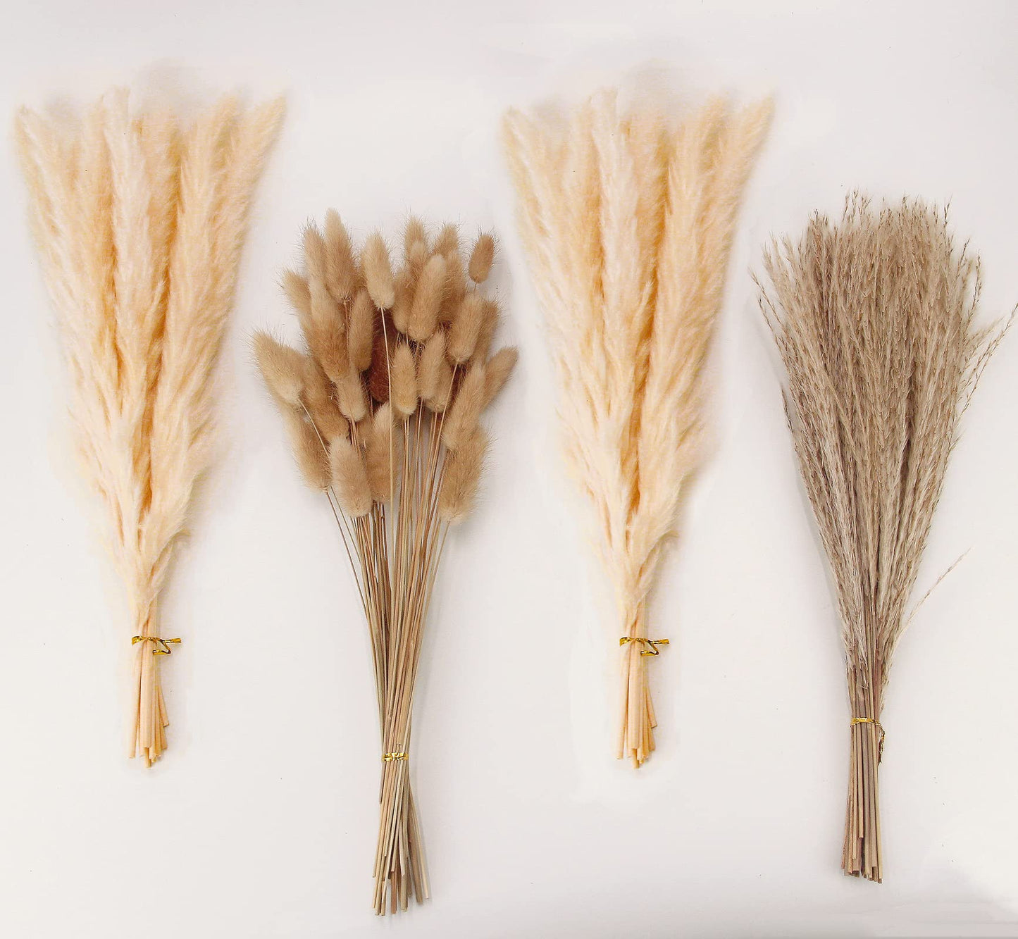 Dried Pampas Grass Decor, 100 Stems Pampas Grass Contains Bunny Tails Dried Flowers