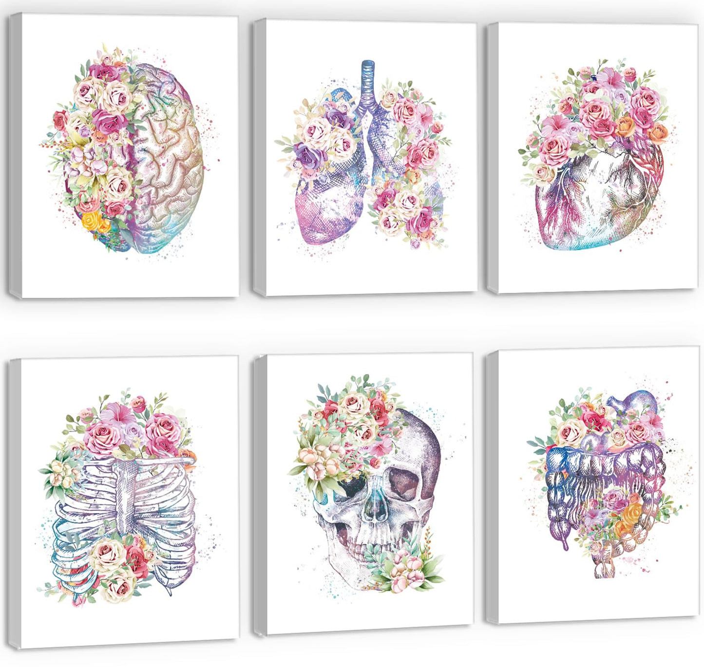 CHDITB Unframed Flowers Skeletal Wall Art Print, Human Organs Art Printing, Body Anatomy Art Posters Abstract Anatomy Viscera Skull Wall Decor, Medical Wall Art For Clinic -Set Of 6 (8" x 10")