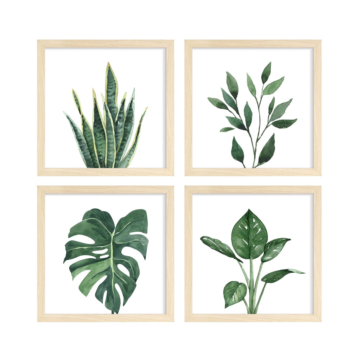 ArtbyHannah Framed Bathroom Wall Decor, 10x10 Inch Botanical Wall Art with Sage Green Plant Print for Wall Decoration, Minimalist Restroom Decor (Walnut)