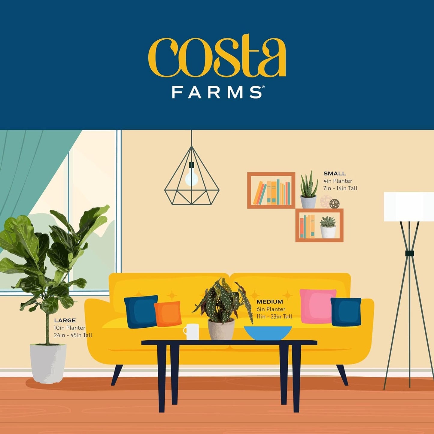 Costa Farms Fiddle Leaf Fig Tree, Ficus Lyrata Live Indoor Plant Potted in Indoor Garden Plant Pot, Potting Soil, Floor Houseplant 3-4 Feet Tall
