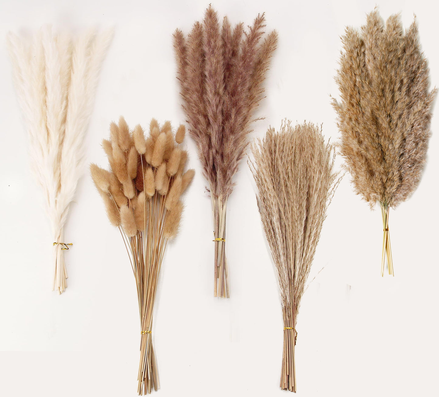 Dried Pampas Grass Decor, 100 Stems Pampas Grass Contains Bunny Tails Dried Flowers