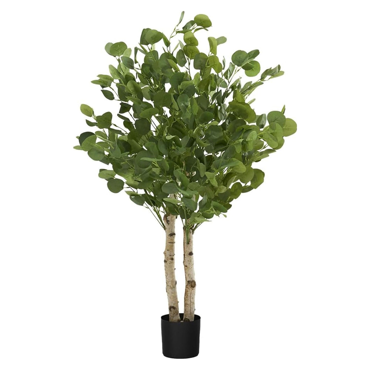|Plants, Pots and More|