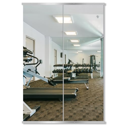 Delma Home Gym Mirror - 48''x24'' Frameless Wall Mirror (2PCS) for Yoga, Home Gym, Garage, Bedroom