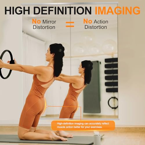 Delma Home Gym Mirror - 48''x24'' Frameless Wall Mirror (2PCS) for Yoga, Home Gym, Garage, Bedroom