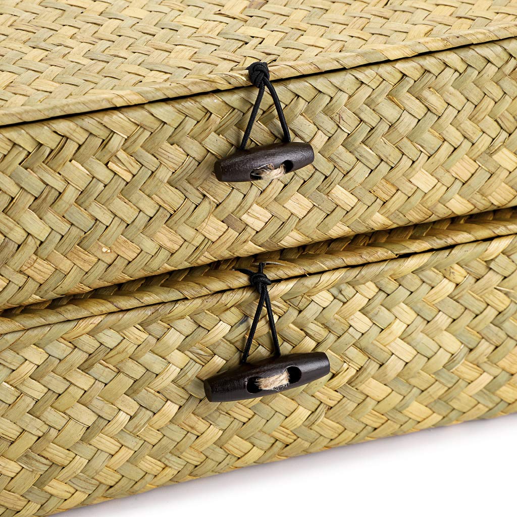 Hipiwe Set of 2 Flat Woven Wicker Storage Bins with Lid Natural Seagrass Basket Multipurpose Home Boxes for Shelf Organizer (Coffee)