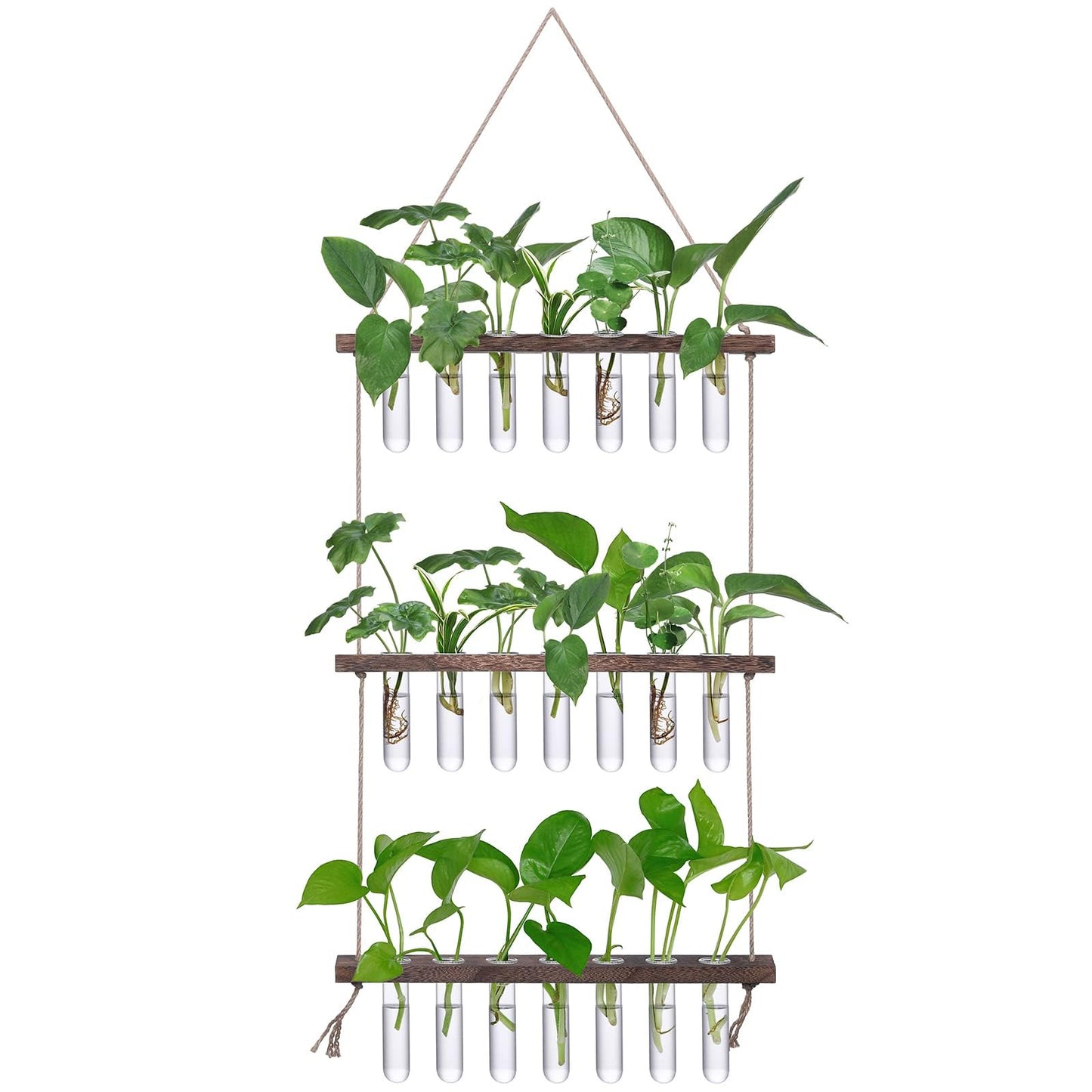 Wall Hanging Propagation Station with Wooden Stand 5 Glass Test Tubes 3 Tiered Planters Wall Terrarium