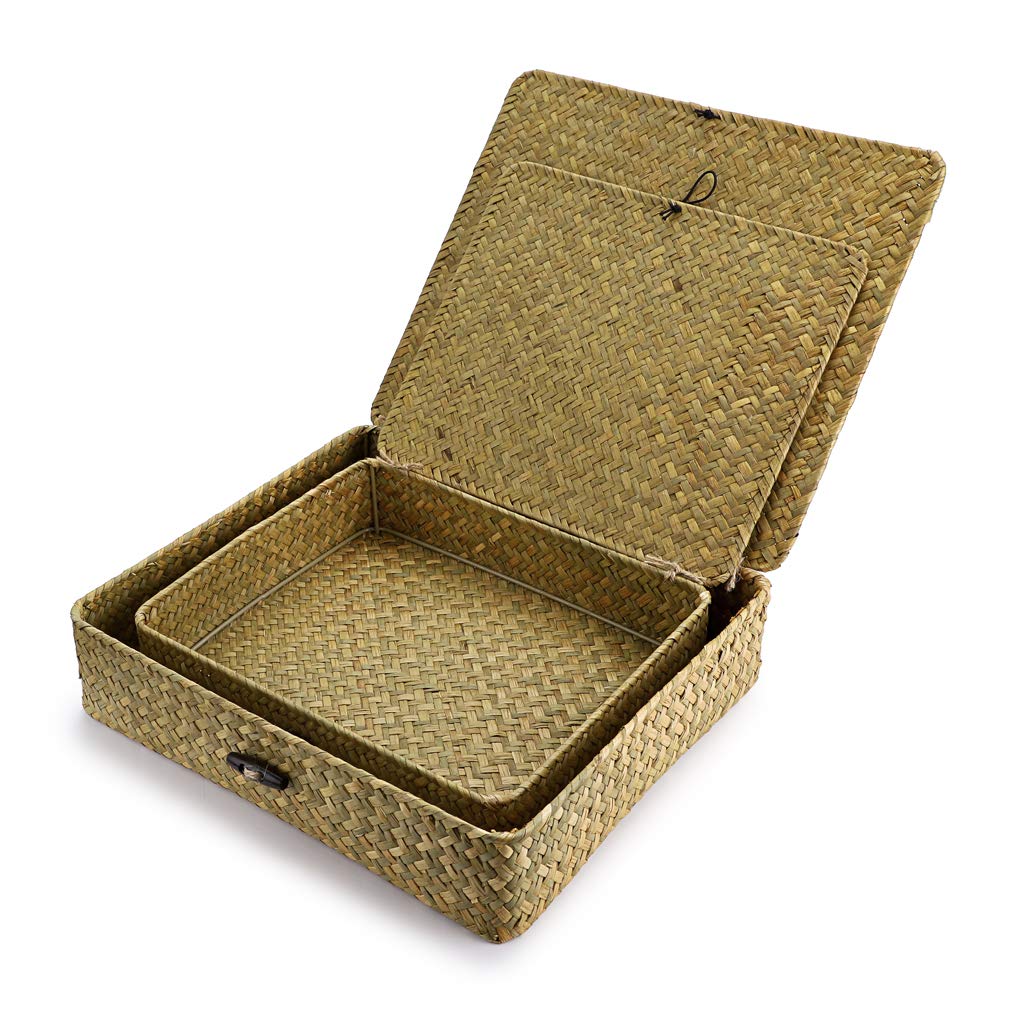 Hipiwe Set of 2 Flat Woven Wicker Storage Bins with Lid Natural Seagrass Basket Multipurpose Home Boxes for Shelf Organizer (Coffee)