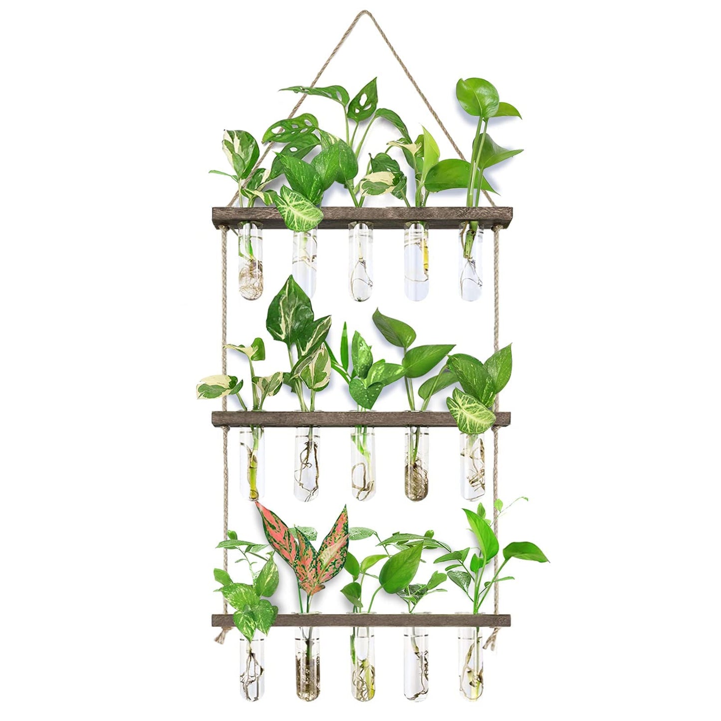 Wall Hanging Propagation Station with Wooden Stand 5 Glass Test Tubes 3 Tiered Planters Wall Terrarium