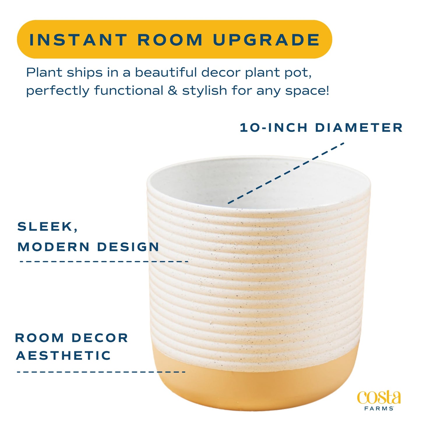 Costa Farms ZZ Plant, Live Indoor Houseplant in Modern Decor Planter, Natural Air Purifier in Potting Soil, Gift for Plant Lovers, Birthday Gift, Tabletop Living Room Decor, Desk Decor, 22-Inches Tall