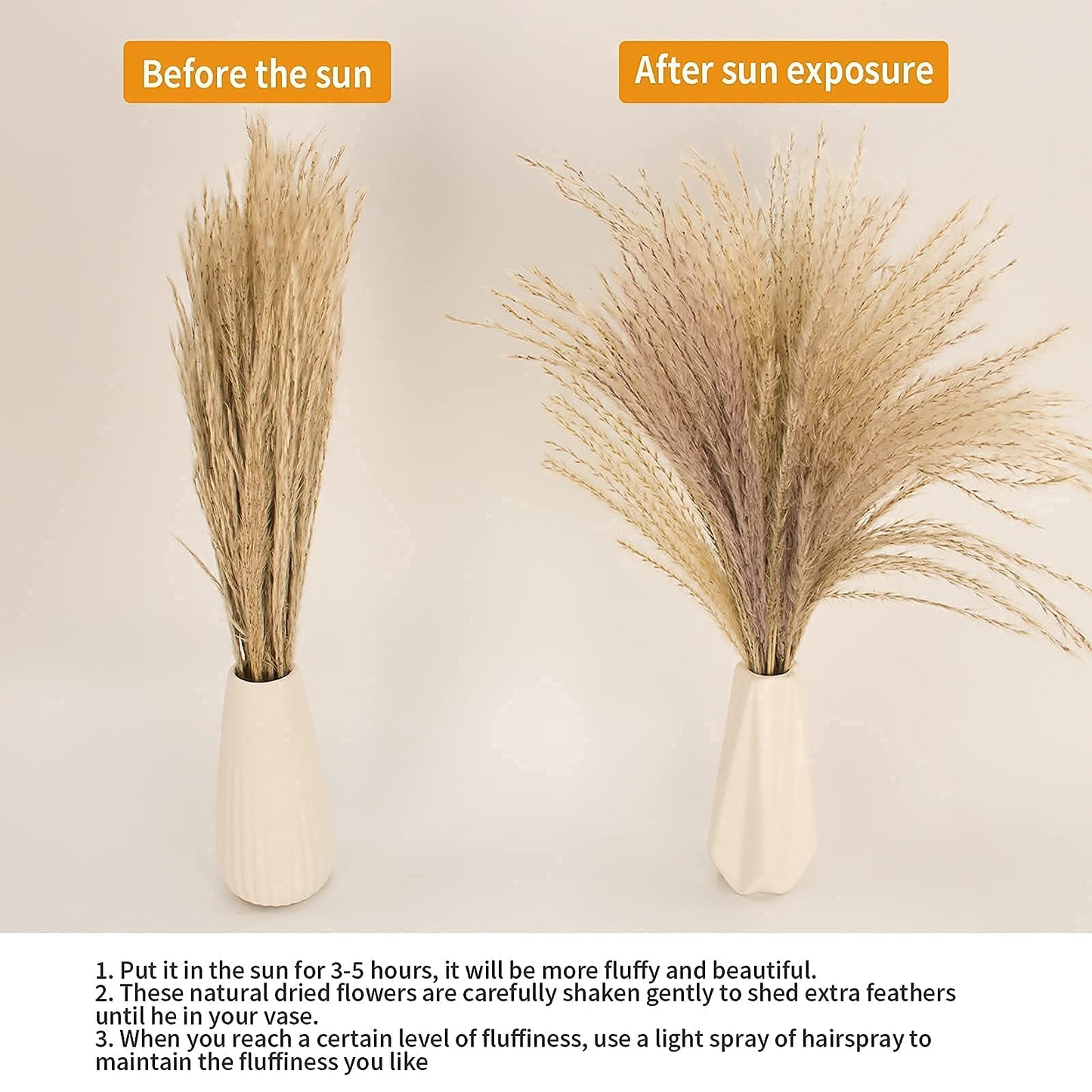 Dried Pampas Grass Decor, 100 Stems Pampas Grass Contains Bunny Tails Dried Flowers