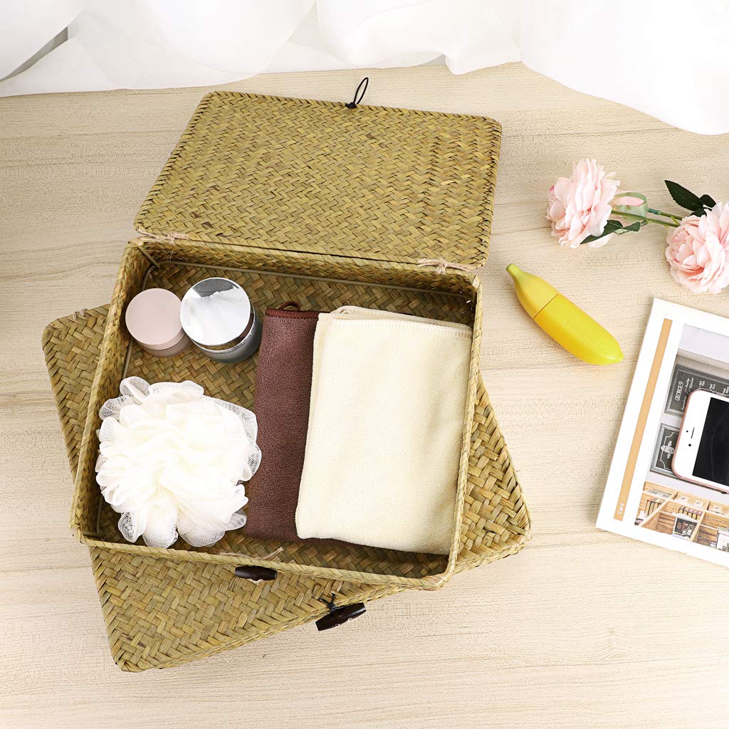 Hipiwe Set of 2 Flat Woven Wicker Storage Bins with Lid Natural Seagrass Basket Multipurpose Home Boxes for Shelf Organizer (Coffee)