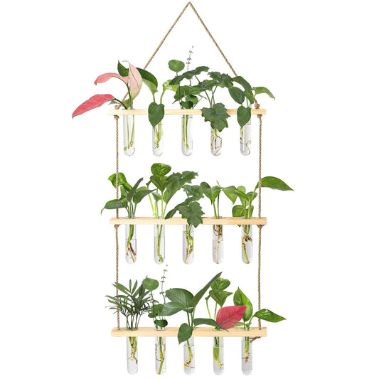 Wall Hanging Propagation Station with Wooden Stand 5 Glass Test Tubes 3 Tiered Planters Wall Terrarium