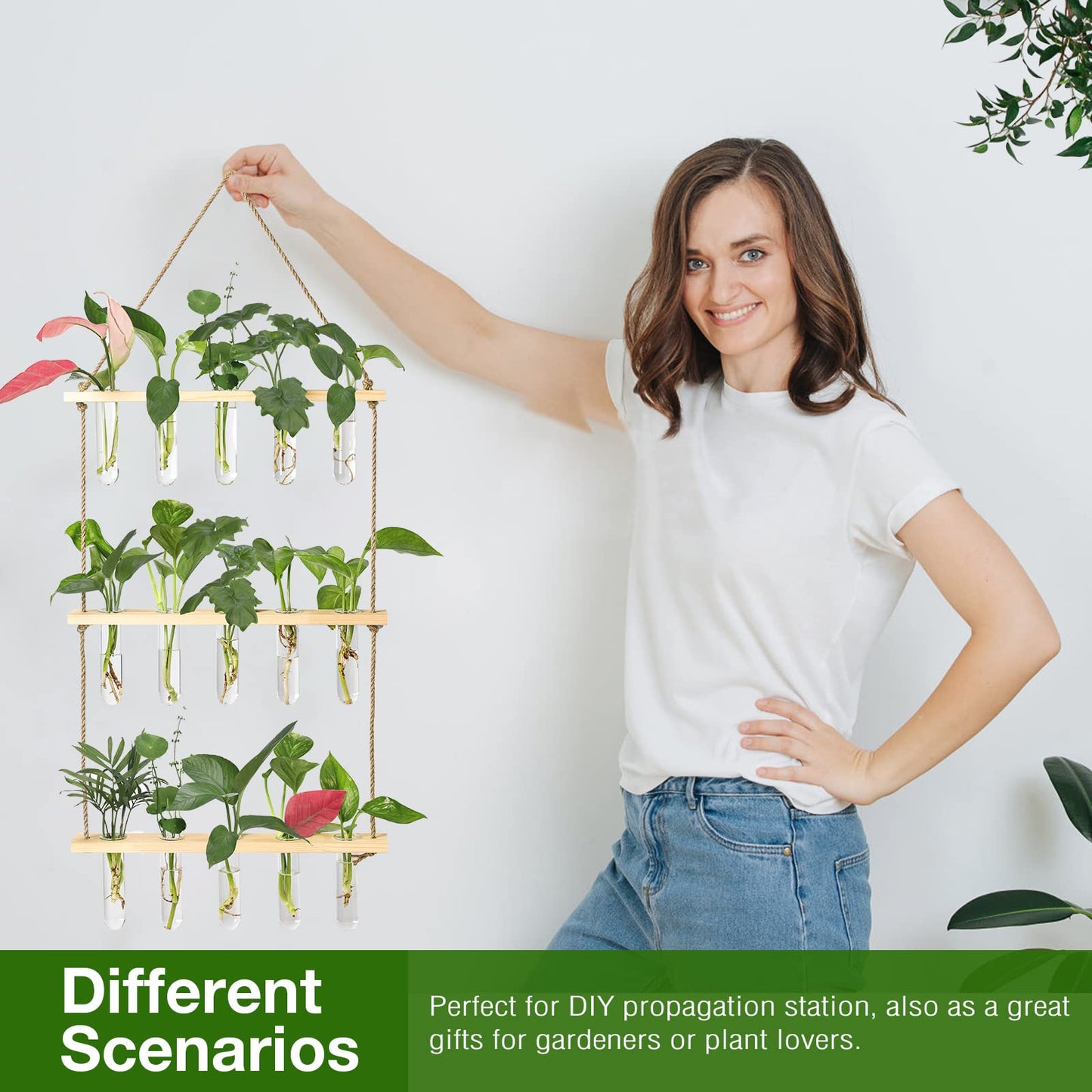 Wall Hanging Propagation Station with Wooden Stand 5 Glass Test Tubes 3 Tiered Planters Wall Terrarium