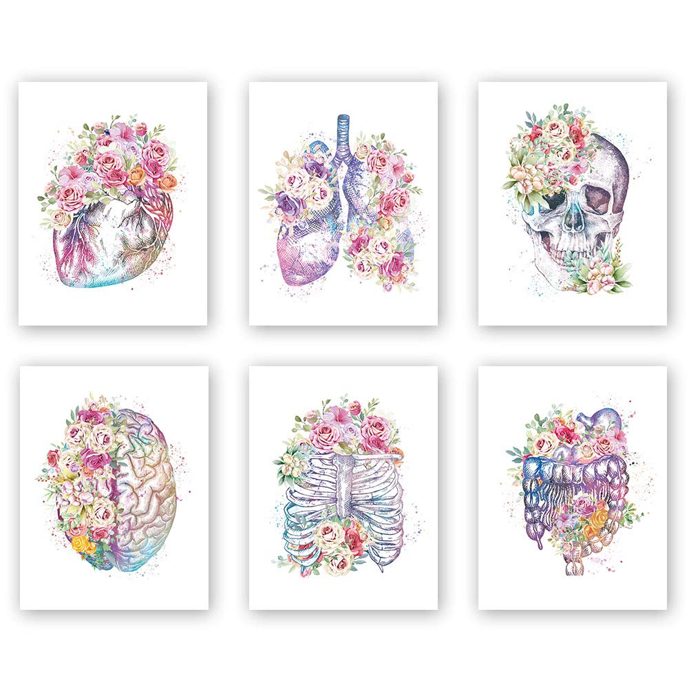 CHDITB Unframed Flowers Skeletal Wall Art Print, Human Organs Art Printing, Body Anatomy Art Posters Abstract Anatomy Viscera Skull Wall Decor, Medical Wall Art For Clinic -Set Of 6 (8" x 10")