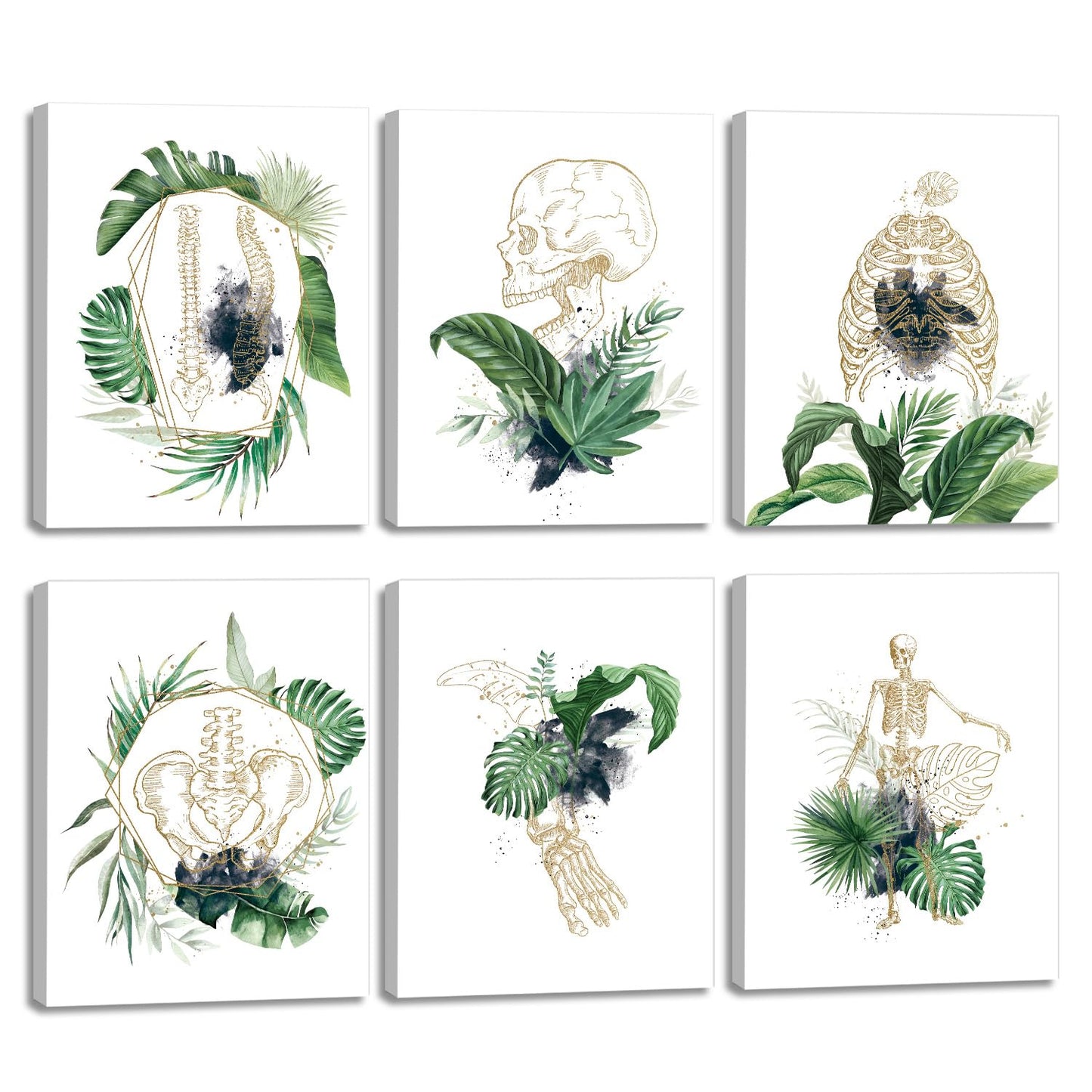 CHDITB Unframed Flowers Skeletal Wall Art Print, Human Organs Art Printing, Body Anatomy Art Posters Abstract Anatomy Viscera Skull Wall Decor, Medical Wall Art For Clinic -Set Of 6 (8" x 10")
