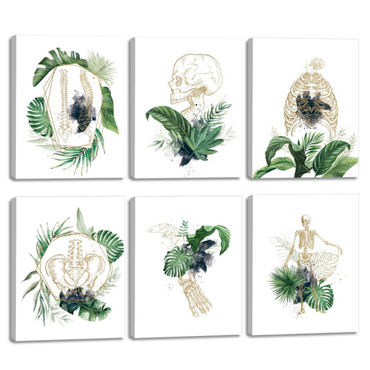 CHDITB Unframed Flowers Skeletal Wall Art Print, Human Organs Art Printing, Body Anatomy Art Posters Abstract Anatomy Viscera Skull Wall Decor, Medical Wall Art For Clinic -Set Of 6 (8" x 10")