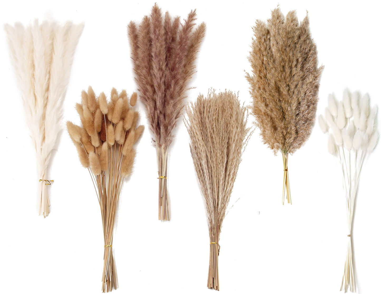 Dried Pampas Grass Decor, 100 Stems Pampas Grass Contains Bunny Tails Dried Flowers