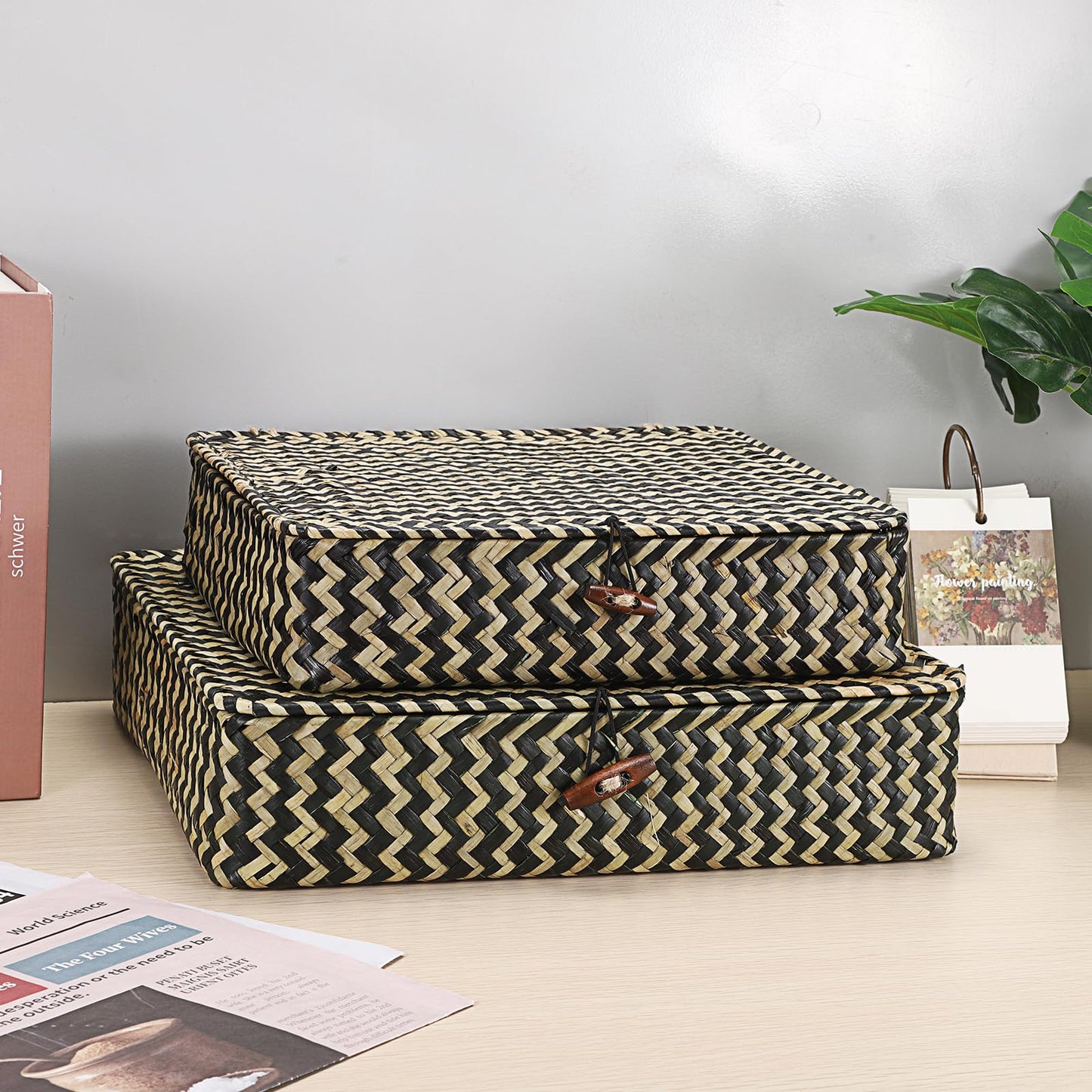Hipiwe Set of 2 Flat Woven Wicker Storage Bins with Lid Natural Seagrass Basket Multipurpose Home Boxes for Shelf Organizer (Coffee)
