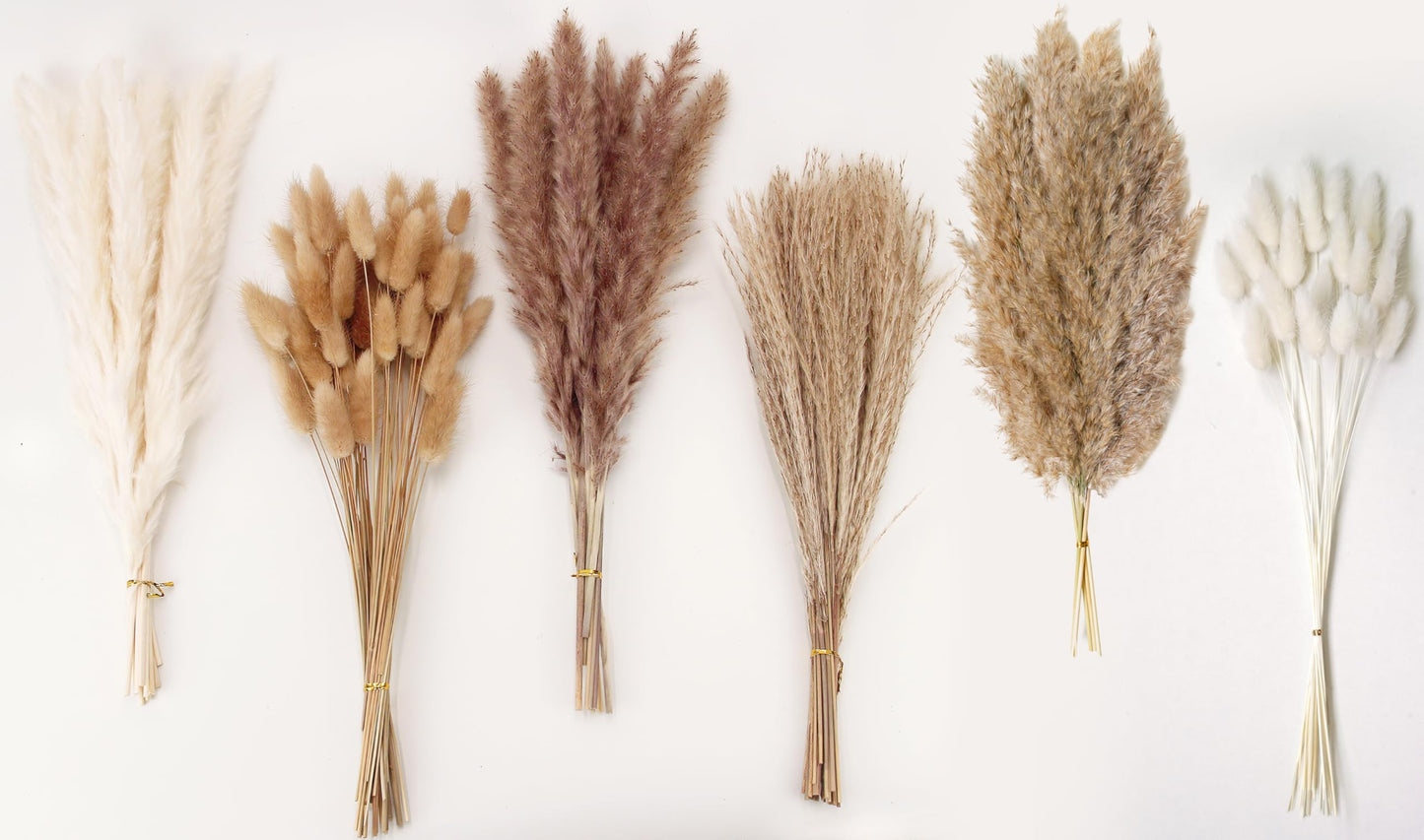 Dried Pampas Grass Decor, 100 Stems Pampas Grass Contains Bunny Tails Dried Flowers