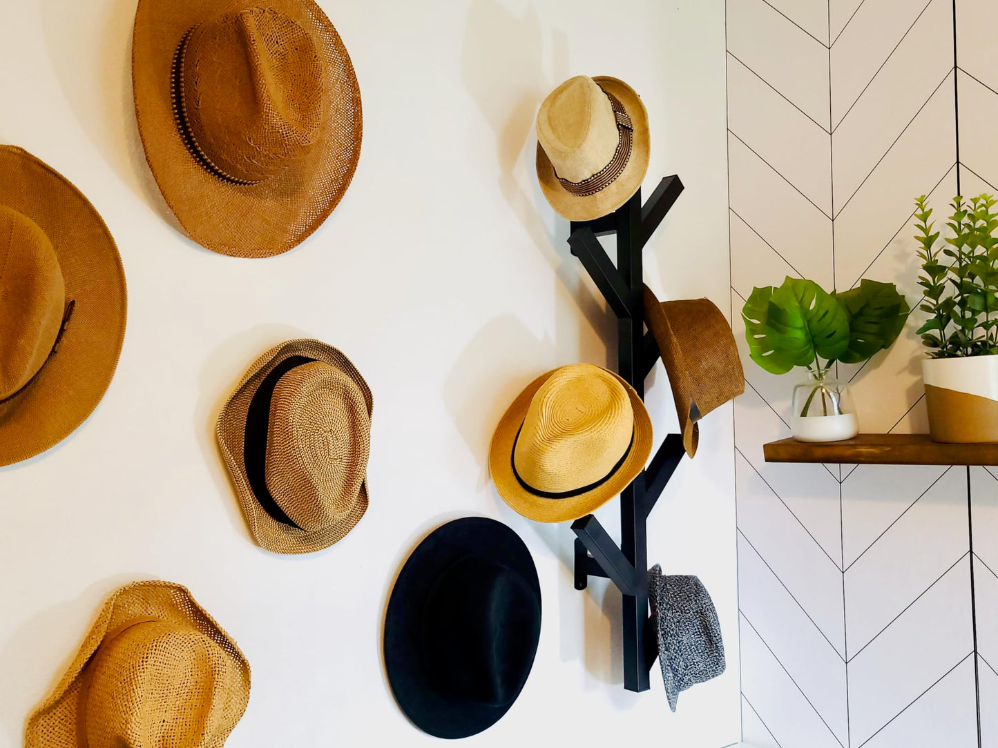 PREMIUM RACKS Coat Rack & Hat Rack - Modern Design - Wall Mounted - Stylish - (Black)